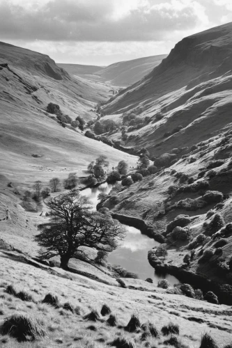 yorkshire dales,peak district,brecon beacons,upper derwent valley,north yorkshire moors,glen of the downs,yorkshire,malham cove,north yorkshire,lake district,moorland,whernside,brook landscape,derbyshire,bare tree,wensleydale,exmoor,northumberland,the valley of the,hayfield,Photography,Black and white photography,Black and White Photography 13