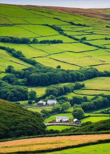 yorkshire dales,exmoor,north yorkshire moors,ireland,northern ireland,wicklow,yorkshire,peak district,donegal,green landscape,green fields,north yorkshire,hayfield,wales,dorset,rolling hills,brecon beacons,antrim,devon,cornwall,Illustration,Paper based,Paper Based 07