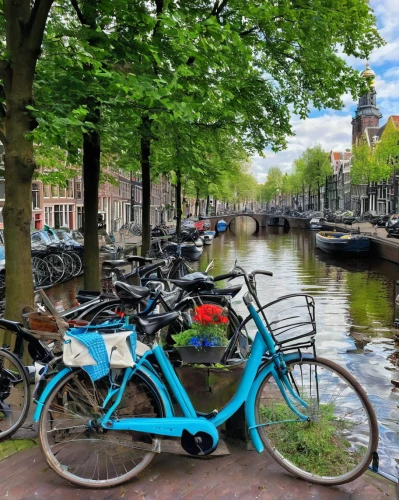 amsterdam,delft,city bike,utrecht,dutch,canals,groningen,bicycles,the netherlands,bike ride,parked bike,netherlands,bike city,bicycle ride,de ville,bike land,cycling,bicycle lane,nederland,bicycle riding,Art,Classical Oil Painting,Classical Oil Painting 10