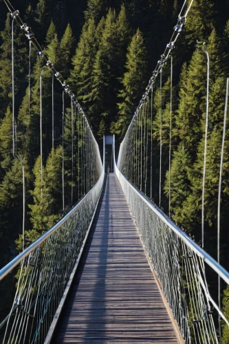 hanging bridge,suspension bridge,rope bridge,tied-arch bridge,scenic bridge,canopy walkway,humpback bridge,footbridge,cable-stayed bridge,bailey bridge,truss bridge,hangman's bridge,passerelle,cantilever bridge,extradosed bridge,arch bridge,bridge,segmental bridge,bridge arch,chain bridge,Illustration,Children,Children 05