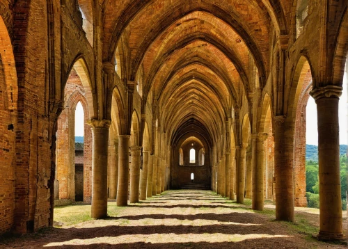 san galgano,abbaye de belloc,cloister,arches,colonnade,three centered arch,medieval architecture,ancient roman architecture,pointed arch,vaulted ceiling,abbaye de sénanque,sanctuary of sant salvador,buttress,aqueduct,arcades,coliseo,umayyad palace,michel brittany monastery,convento do carmo,romanesque,Illustration,Realistic Fantasy,Realistic Fantasy 05