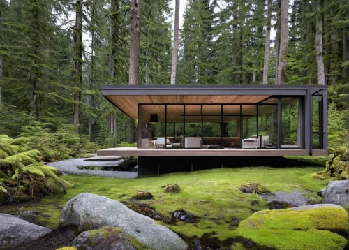 house in the forest,the cabin in the mountains,small cabin,house in the mountains,cubic house,house by the water,forest chapel,house in mountains,mirror house,inverted cottage,house with lake,timber house,vancouver island,summer cottage,forest workplace,mid century house,pool house,beautiful home,tofino,frame house,Illustration,Black and White,Black and White 24
