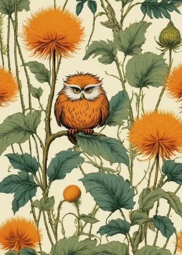 flower and bird illustration,owl pattern,orange floral paper,bird illustration,owl art,bird flower,flower illustration,owl background,small owl,owl drawing,owl,sparrow owl,saffron bunting,bird painting,safflower,boobook owl,bart owl,wood daisy background,bird pattern,calendula,Conceptual Art,Daily,Daily 05