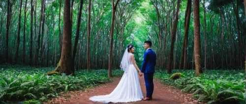 bamboo forest,wedding photo,wedding photography,wedding frame,wedding couple,forest background,pre-wedding photo shoot,wedding photographer,wedding invitation,green forest,enchanted forest,bride and groom,forest chapel,bridal veil,wedding ceremony,walking down the aisle,weeding,hawaii bamboo,forest of dreams,conceptual photography,Conceptual Art,Daily,Daily 16