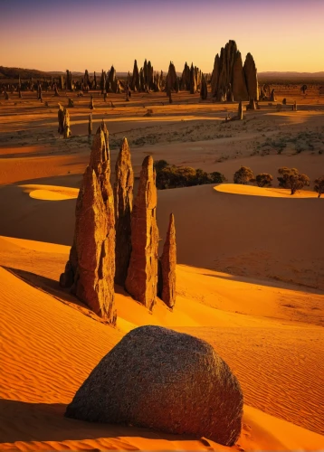 stone desert,libyan desert,arid landscape,desert desert landscape,desert landscape,gobi desert,the gobi desert,arid,arid land,capture desert,sandstone rocks,argentina desert,namib desert,dune landscape,namib,namib rand,the desert,merzouga,sossusvlei,ayersrock,Conceptual Art,Daily,Daily 08