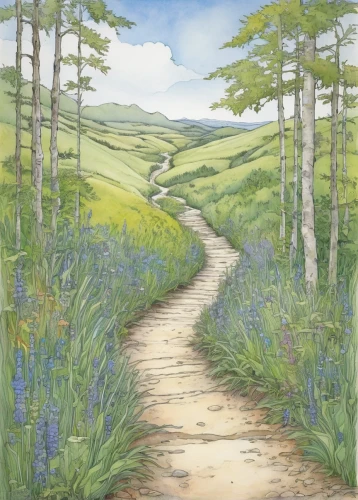 pathway,hare trail,hiking path,bluebells,meadow in pastel,forest path,wooden path,the path,trail,brook landscape,towards the garden,footpath,forest road,orchard meadow,green meadows,path,the mystical path,the road to the sea,nature trail,salt meadow landscape,Illustration,Black and White,Black and White 13