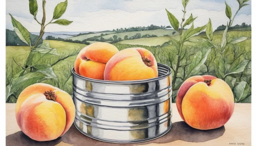 cart of apples,apple jam,orchards,apricot,peach tree,apricots,apple harvest,apple trees,peaches,nectarines,vineyard peach,apple orchard,honeycrisp,stone fruit,summer still-life,colored pencil background,peaches in the basket,persimmons,orchard,fruit trees,Illustration,Realistic Fantasy,Realistic Fantasy 11