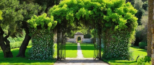 garden door,farm gate,heaven gate,green garden,gardens,tunnel of plants,gateway,wood gate,towards the garden,gate,iron gate,fence gate,tree lined path,forest cemetery,archway,green trees,the threshold of the house,green landscape,green forest,pathway,Photography,Fashion Photography,Fashion Photography 08