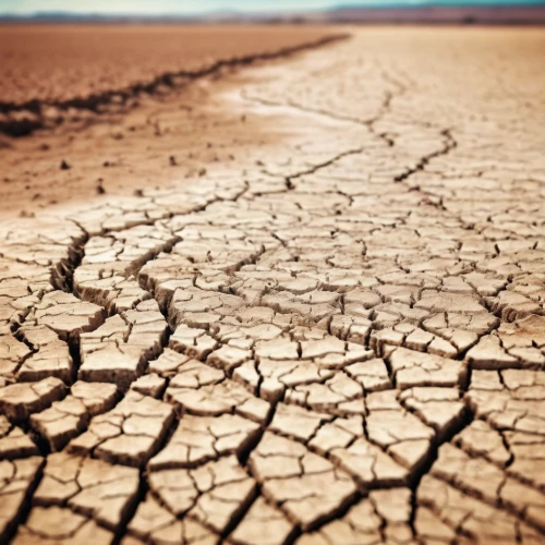 the dry season,desertification,dry weather,drought,dryness,dry lake,arid,arid landscape,arid land,dry grass,dried up,parched,scorched earth,soil erosion,mesquite flats,dehydrated,water resources,dry,dehydration,climate protection,Unique,3D,Panoramic