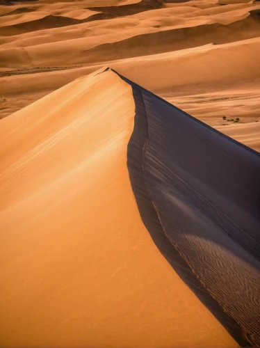 admer dune,libyan desert,crescent dunes,shifting dune,namib desert,namib,sand dune,dune landscape,high-dune,sand dunes,shifting dunes,the sand dunes,dunes national park,moving dunes,dune sea,dune,dunes,merzouga,namib rand,sahara desert,Art,Classical Oil Painting,Classical Oil Painting 16