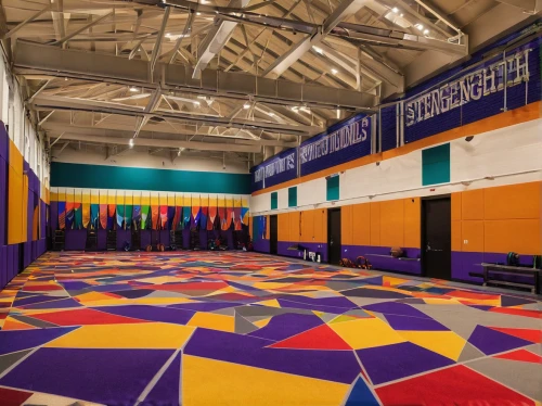 gymnastics room,indoor games and sports,field house,basketball court,on top of the field house,gymnasium,trampolining--equipment and supplies,hall of nations,scholastic wrestling,collegiate wrestling,indoor field hockey,treasure hall,the court,empty hall,adler arena,school design,factory hall,sport venue,tartan track,checkered floor,Conceptual Art,Oil color,Oil Color 14