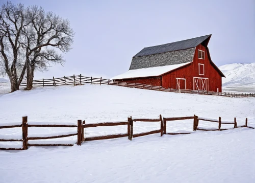 snow landscape,snowy landscape,red barn,winter landscape,snow fields,snow scene,vermont,farm landscape,barns,white turf,quilt barn,field barn,snow-capped,snow shelter,christmas landscape,snow bales,winter background,pasture fence,farmstead,barn,Photography,Documentary Photography,Documentary Photography 36