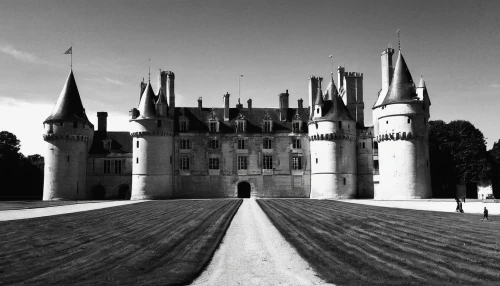 royal castle of amboise,castel,castle sans souci,château de chambord,chambord,monbazillac castle,chateau,gothic architecture,hohenzollern castle,castles,versailles,castle of the corvin,chateau margaux,castle,fairy tale castle,castelul peles,fairytale castle,amboise,haunted castle,hotel de cluny,Illustration,Black and White,Black and White 33