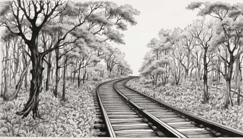 railway track,railroad line,railroad track,railroad trail,rail way,rail road,narrow-gauge railway,railroad,railway line,railtrack,wooden track,the selketal railway,train track,rack railway,narrow gauge,narrow gauge railway,railway rails,disused railway line,railroad tracks,railway lines,Illustration,Black and White,Black and White 34