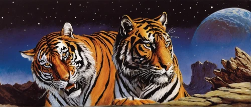 tigers,zebras,big cats,tigerle,mammals,chestnut tiger,the animals,asian tiger,animals,exotic animals,galaxy express,a tiger,tiger,young animals,animal animals,celestial bodies,felines,two cats,deep zoo,wild animals,Illustration,American Style,American Style 07