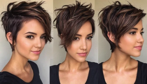 pixie-bob,asymmetric cut,mohawk hairstyle,layered hair,artificial hair integrations,pixie cut,hairstyles,updo,bun mixed,hairstyle,colorpoint shorthair,hair shear,filipino,feathered hair,smooth hair,hair coloring,airbrushed,management of hair loss,trend color,vietnamese woman,Illustration,Vector,Vector 05
