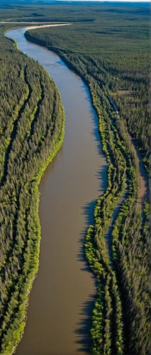 tanana river,river delta,danube delta,braided river,the danube delta,rio grande river,eastern mangroves,northern territory,paraguayian guarani,freshwater marsh,herman national park,everglades np,aura river,yukon river,bayou la batre,danubedelta,everglades,doñana national park,oxbow lake,tidal marsh,Conceptual Art,Oil color,Oil Color 15