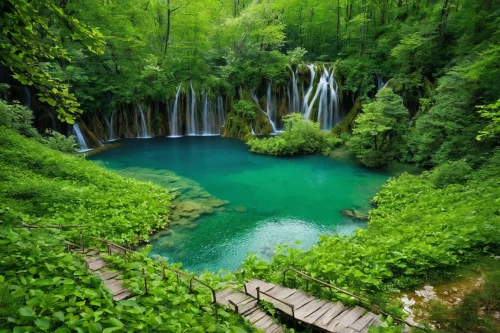 plitvice,green waterfall,kravice,croatia,slovenia,green forest,waterfalls,green trees with water,fairytale forest,mountain spring,green landscape,nature landscape,beautiful landscape,natural scenery,landscapes beautiful,the natural scenery,landscape nature,krka national park,background view nature,natural landscape,Photography,Documentary Photography,Documentary Photography 21