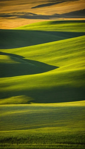 green fields,green landscape,rolling hills,grasslands,cropland,grassland,steppe,landscape photography,wheat fields,tuscany,green wheat,wheat field,farmland,nature of mongolia,inner mongolian beauty,green grain,grain field,fields,landscape nature,tuscan,Illustration,Paper based,Paper Based 01