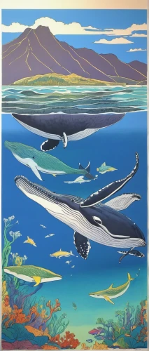 pilot whales,whales,oceanic dolphins,dolphins,dolphins in water,two dolphins,cetacea,pilot whale,pot whale,cetacean,porpoise,dolphin coast,dolphin-afalina,short-finned pilot whale,marine mammal,manta rays,common dolphins,orca,molokai,whale,Illustration,Retro,Retro 22