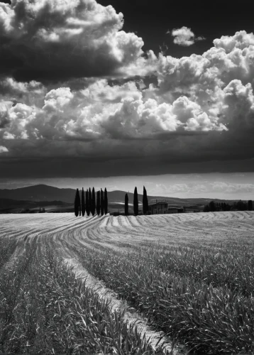 ring of brodgar,andreas cross,tuscany,stone circle,arid landscape,blackandwhitephotography,chesil beach,black landscape,fields of wind turbines,monochrome photography,stone circles,antelope island,orkney island,landscape photography,breton,istria,aberdeenshire,camargue,salt-flats,northumberland,Photography,Black and white photography,Black and White Photography 08