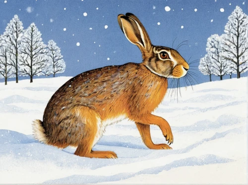 brown hare,snowshoe hare,hare trail,leveret,field hare,young hare,wild hare,hares,hare,european brown hare,hare window,steppe hare,audubon's cottontail,hare field,female hares,mountain cottontail,winter animals,wild rabbit,arctic hare,fox and hare,Art,Classical Oil Painting,Classical Oil Painting 03