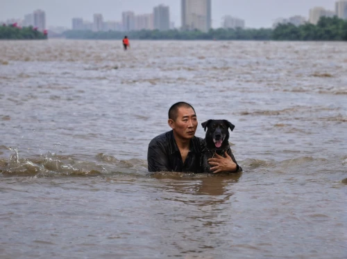 rescue dogs,rescue dog,heart of love river in kaohsiung,girl with dog,human and animal,hurricane harvey,dog in the water,boy and dog,rescue,tianjin,perro de presa canario,companion dog,fila brasileiro,compassion,72 turns on nujiang river,rescuer,shenyang,rain cats and dogs,flat-coated retriever,chinese imperial dog,Conceptual Art,Oil color,Oil Color 02