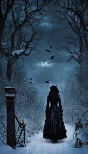 gothic woman,dark gothic mood,dance of death,the snow queen,fantasy picture,gothic dress,gothic fashion,calling raven,witch house,the witch,gothic,winter dream,murder of crows,dark angel,ravens,mourning swan,gothic style,dark art,winter magic,gothic portrait,Illustration,Realistic Fantasy,Realistic Fantasy 46