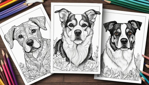 dog drawing,dog illustration,american staffordshire terrier,dog line art,dog digital paper,pencil drawings,dogs digital paper,coloring pages kids,coloring page,pencil art,coloring picture,catahoula bulldog,staffordshire bull terrier,dog frame,american pit bull terrier,pencil frame,three dogs,coloring pages,louisiana catahoula leopard dog,color dogs,Photography,Black and white photography,Black and White Photography 04