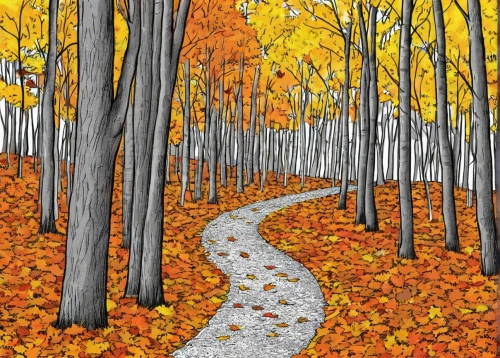 autumn forest,autumn trees,fall landscape,autumn landscape,birch forest,forest path,autumn colouring,deciduous forest,birch alley,forest road,autumn walk,pathway,the trees in the fall,birch tree illustration,trees in the fall,yellow leaves,fall leaves,autumn background,autumn idyll,fall foliage,Illustration,Black and White,Black and White 04