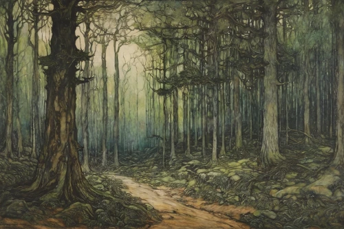 forest road,forest landscape,forest path,the forest,forest walk,the forests,forest glade,old-growth forest,forest background,green forest,forest,elven forest,forest floor,deciduous forest,tree lined path,tree grove,holy forest,forests,northwest forest,the woods,Illustration,Retro,Retro 25