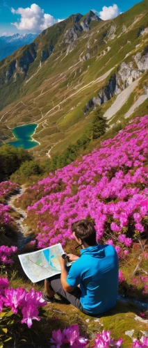 the valley of flowers,girl studying,alpine flowers,landscape background,sea of flowers,background view nature,virtual landscape,field of flowers,blanket of flowers,girl picking flowers,suitcase in field,splendor of flowers,digital compositing,digital nomads,salt meadow landscape,picking flowers,alpine meadow,flower painting,flower field,world digital painting,Conceptual Art,Daily,Daily 21