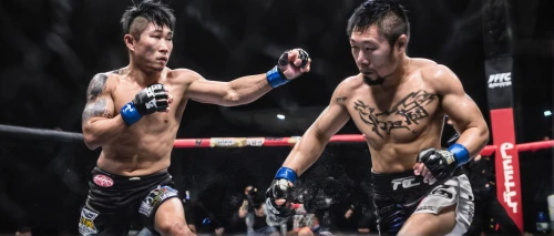 lethwei,amnat charoen,striking combat sports,muay thai,combat sport,mma,siam fighter,mixed martial arts,kai yang,choi kwang-do,miyeok guk,jeet kune do,dai pai dong,connectcompetition,luokang,tai qi,shuai jiao,fight,mongolian wrestling,su yan,Photography,Artistic Photography,Artistic Photography 04