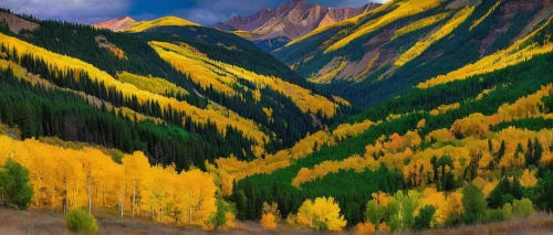 autumn mountains,telluride,larch forests,aspen,larch trees,fall landscape,xinjiang,american larch,american aspen,mountainous landscape,mountain landscape,yellow mountains,autumn landscape,autumn background,fall foliage,mountain meadow,landscape background,larch,salt meadow landscape,mountain slope,Illustration,Realistic Fantasy,Realistic Fantasy 30