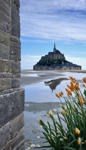 mont saint michel,mont st michel,normandy,citadelle,normandie region,royal castle of amboise,clécy normandy,honfleur,michel brittany monastery,saint michel,caquelon,anemone de caen,bretagne,castle sans souci,france,finistère,notre dame de sénanque,chateau,cadzand bad,bordeaux,Photography,Fashion Photography,Fashion Photography 11