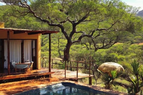 tree house hotel,termales balneario santa rosa,eco hotel,treehouse,south africa,tree house,provencal life,pool house,holiday home,summer house,dunes house,boutique hotel,holiday villa,inverted cottage,landscape designers sydney,chalet,argan tree,argan trees,corten steel,timber house,Conceptual Art,Oil color,Oil Color 19