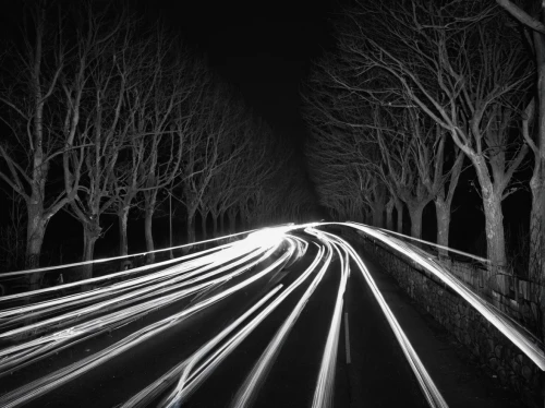light trail,long exposure light,long exposure,speed of light,light trails,night highway,tree lined lane,monochrome photography,the dark hedges,vanishing point,nocturnes,light traces,highway lights,night photography,blackandwhitephotography,longexposure,winding road,winding roads,road to nowhere,the road,Illustration,Realistic Fantasy,Realistic Fantasy 46