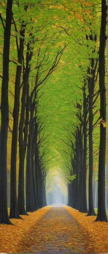 tree-lined avenue,beech trees,tree lined lane,tree lined path,deciduous forest,autumn forest,beech hedge,chestnut forest,forest road,beech forest,maple road,golden trumpet trees,autumn landscape,autumn scenery,tree grove,tree lined,autumn trees,autumn walk,european beech,row of trees,Conceptual Art,Daily,Daily 01