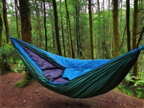 hammock,hammocks,tent camping,sleeping pad,camping equipment,sleeping bag,roof tent,camp out,camping tents,camping gear,camping chair,hanging chair,outdoor life,hiking equipment,outdoor recreation,canopy bed,free wilderness,camping tipi,sleeper chair,cocoon,Conceptual Art,Daily,Daily 23
