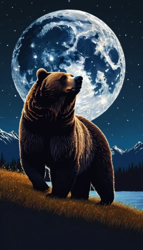 bear guardian,bear kamchatka,nordic bear,bear,cute bear,brown bear,kodiak bear,bear market,scandia bear,ursa,great bear,ursa major zodiac,grizzly bear,slothbear,bears,ursa major,little bear,the bears,grizzly,bear teddy,Photography,Fashion Photography,Fashion Photography 11