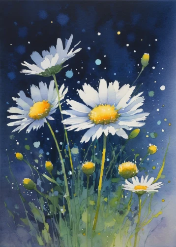marguerite daisy,daisy flowers,daisies,white daisies,ox-eye daisy,marguerite,blue daisies,oxeye daisy,australian daisies,sun daisies,daisy flower,meadow daisy,leucanthemum,barberton daisies,flower painting,mayweed,white cosmos,daisy family,leucanthemum maximum,white chrysanthemums,Illustration,Abstract Fantasy,Abstract Fantasy 20