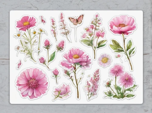 floral greeting card,floral border paper,flowers png,pink cosmea,digiscrap,floral digital background,pink lisianthus,floral scrapbook paper,cosmea,pink floral background,scrapbook flowers,peruvian lily,watercolor floral background,floral and bird frame,cushion flowers,meadow in pastel,meadow flowers,tea flowers,floral background,meadows-horn clover,Unique,Design,Sticker