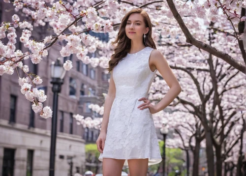 girl in white dress,white winter dress,cherry blossom festival,spring white,cherry blossoms,the cherry blossoms,white blossom,cherry blossom,white dress,japanese sakura background,floral dress,sheath dress,cold cherry blossoms,cherry blossom tree,sakura blossom,linden blossom,white floral background,sakura tree,girl in a long dress,sakura background,Photography,Documentary Photography,Documentary Photography 24