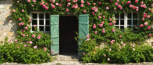 giverny,french windows,provencal life,garden door,provence,veules-les-roses,country cottage,cottage garden,trerice in cornwall,dordogne,flower wall en,old country roses,country house,home door,hanging geraniums,front door,window front,row of windows,door wreath,window curtain,Art,Classical Oil Painting,Classical Oil Painting 29