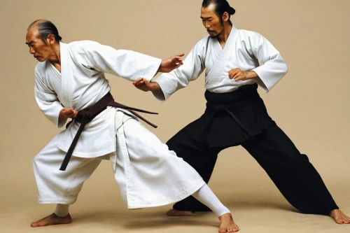 aikido,sambo (martial art),shorinji kempo,daitō-ryū aiki-jūjutsu,shidokan,haidong gumdo,kajukenbo,japanese martial arts,taijiquan,kenjutsu,sōjutsu,buchardkai,judo,battōjutsu,baguazhang,dobok,taekkyeon,kurash,karate,iaijutsu,Conceptual Art,Daily,Daily 14