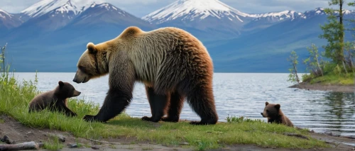 bear kamchatka,brown bears,kodiak bear,grizzlies,alaska,brown bear,horsetail family,denali national park,great bear,grizzly cub,grizzly bear,bear cubs,bear guardian,kamchatka,bears,elephants and mammoths,cute bear,family outing,wildlife,mammals,Illustration,Retro,Retro 11