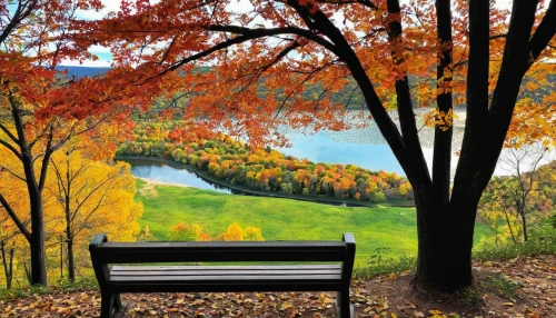 park bench,outdoor bench,red bench,bench,fall picture frame,wooden bench,fall landscape,bench by the sea,bench chair,autumn background,autumn frame,autumn scenery,benches,garden bench,autumn landscape,chair in field,man on a bench,wood bench,round autumn frame,stone bench,Photography,Documentary Photography,Documentary Photography 09