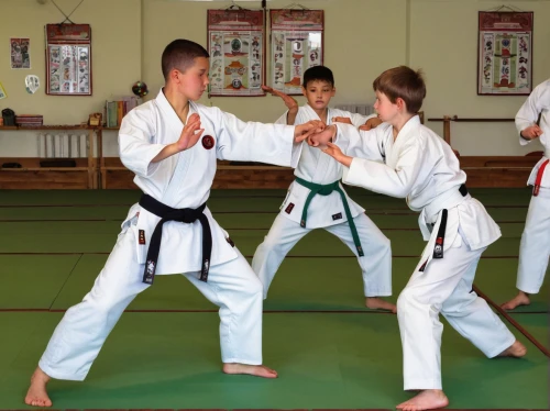 shorinji kempo,sambo (martial art),tang soo do,hapkido,shidokan,kurash,kajukenbo,sōjutsu,haidong gumdo,taekkyeon,aikido,marine corps martial arts program,battōjutsu,japanese martial arts,dobok,daitō-ryū aiki-jūjutsu,judo,training course,training class,black belt,Illustration,Retro,Retro 23