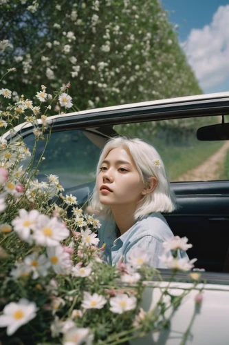 nissan figaro,flower car,solar,winner joy,girl in car,planted car,girl in flowers,rv,joy,wildflower,bach flower therapy,girl and car,woman in the car,beautiful girl with flowers,floral,geum,passenger,vintage floral,on a wild flower,flower blossom,Photography,General,Commercial