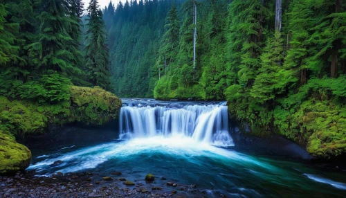 green waterfall,mckenzie river,united states national park,oregon,salt creek falls,brown waterfall,water falls,green trees with water,flowing water,washington state,british columbia,waterfalls,water fall,water flow,rushing water,ash falls,bond falls,cascading,ilse falls,bow falls,Illustration,Paper based,Paper Based 27